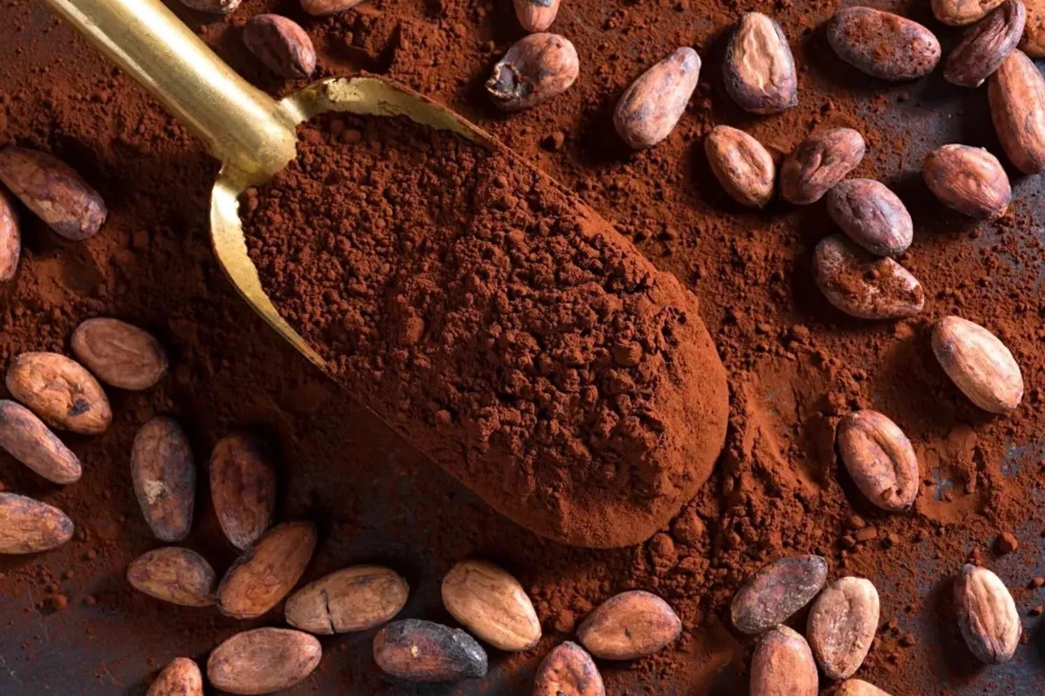 11 lợi ích sức khỏe và dinh dưỡng của bột cacao