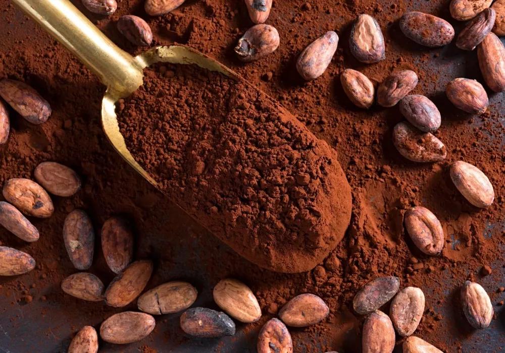 11 lợi ích sức khỏe và dinh dưỡng của bột cacao