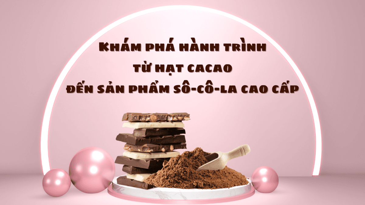 Khám phá hành trình từ hạt cacao đến sản phẩm sô-cô-la cao cấp